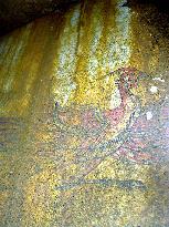 Legendary bird discovered in Asuka mound mural